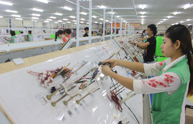  Sản xuất linh kiện kết nối điện trong máy giặt, máy hút bụi công suất cao của Công ty Emtec Vina TN (Khu CN Điềm Thụy – Phú Bình)