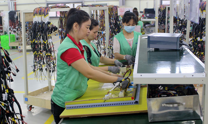  Công nhân làm việc tại xưởng gia công linh kiện kết nối điện trong máy giặt, máy hút bụi 1(Công ty TNHH Emtec Vina TN)