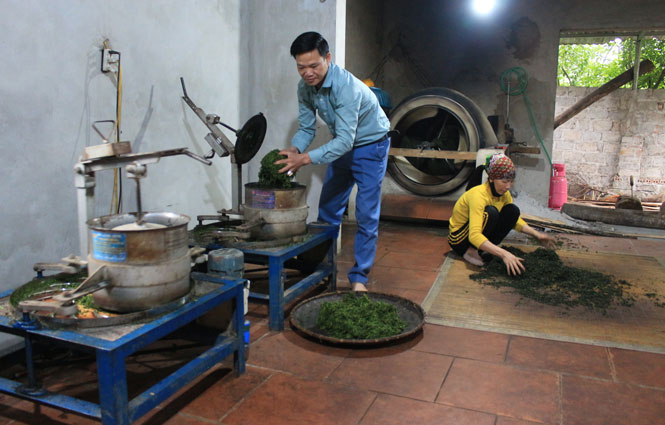  Được sự hỗ trợ từ nguồn khuyến công của nhà nước, người dân Làng nghề chè cụm Khe Cốc xóm Minh Hợp, xã Tức Tranh đã có điều kiện mua sắm máy móc, thiết bị hiện đại để phục vụ hoạt động sản xuất, chế biến chè.