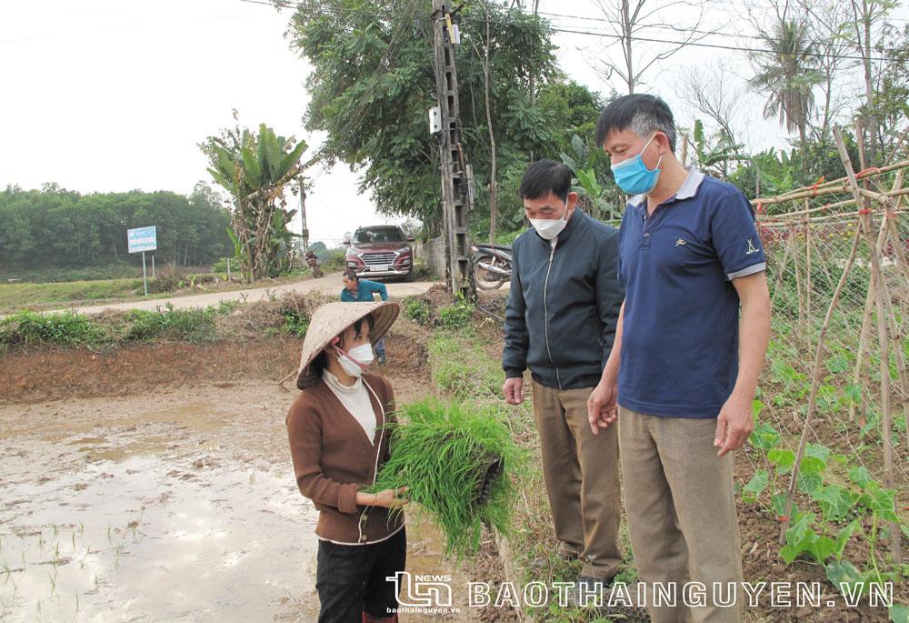  Đồng chí Nguyễn Văn Tịnh, Trưởng xóm Hóa, xã Bảo Lý, huyện Phú Bình (ngoài cùng bên phải), luôn sâu sát với người dân trong xóm.