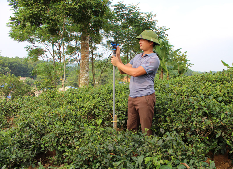  Thành viên Hợp tác xã Nông nghiệp bền vững Đại Từ, xã Phú Cường lắp đặt hệ thống tưới chè tự động cho mô hình sản xuất chè an toàn.