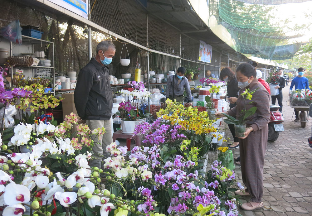  Người dân chọn hoa đón Tết tại chợ hoa ven sông Cầu.