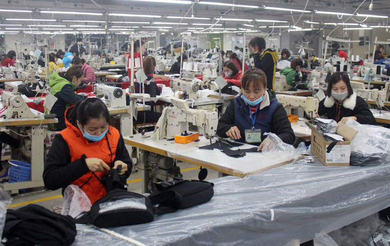  100% lao động qua đào tạo nghề may công nghiệp được tạo việc làm tại các công ty may trong và ngoài huyện. Trong ảnh: Công nhân làm việc tại Công ty TNHH Shints BTV.