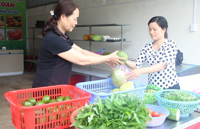 Khách hàng mua các loại thực phẩm an toàn tại cửa hàng của HTX dịch vụ chăn nuôi, trồng trọt Phấn Mễ (Phú Lương).