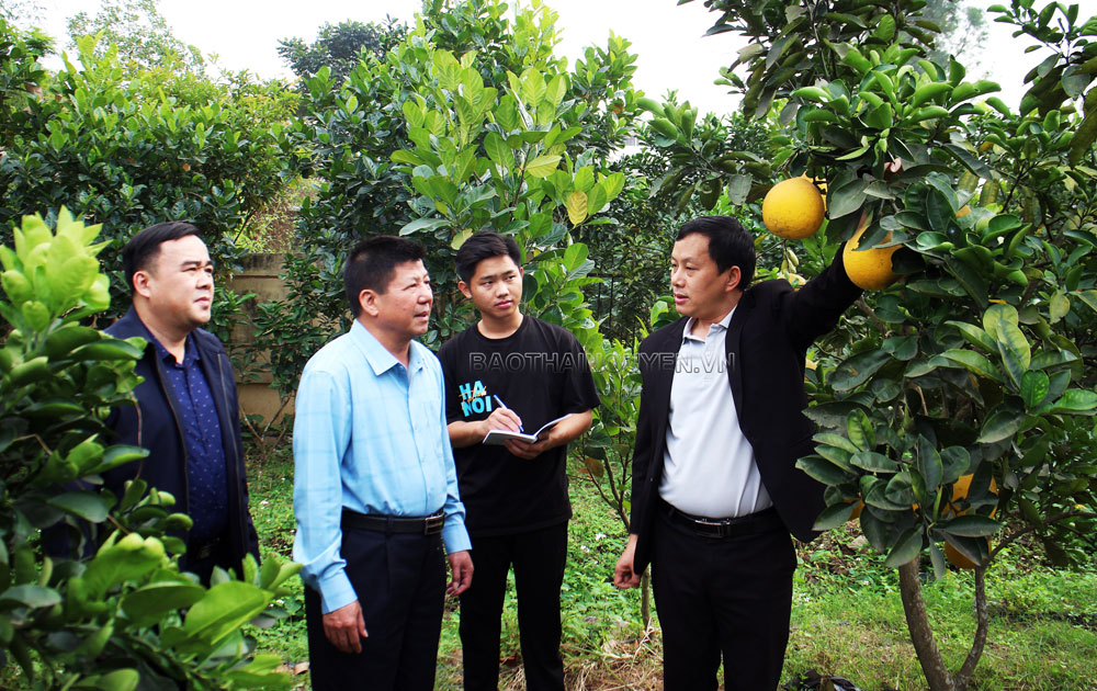  Lãnh đạo Sở KH&CN kiểm tra Dự án Xây dựng mô hình nông nghiệp công nghệ cao với một số giống cây ăn quả trên địa bàn tỉnh tại Trường Đại học Nông Lâm.