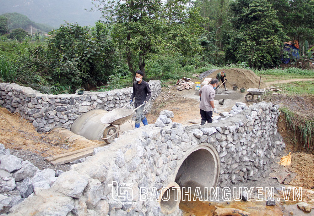  Nhiều người dân ở xã Văn Lăng (Đồng Hỷ) tự bỏ kinh phí và công lao động để làm đường.
