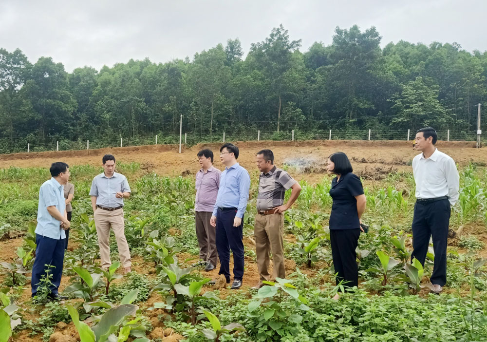 Đoàn khảo sát làm việc tại Hợp tác xã nông nghiệp công nghệ cao ở xóm Ao Trám, xã Động Đạt (Phú Lương).