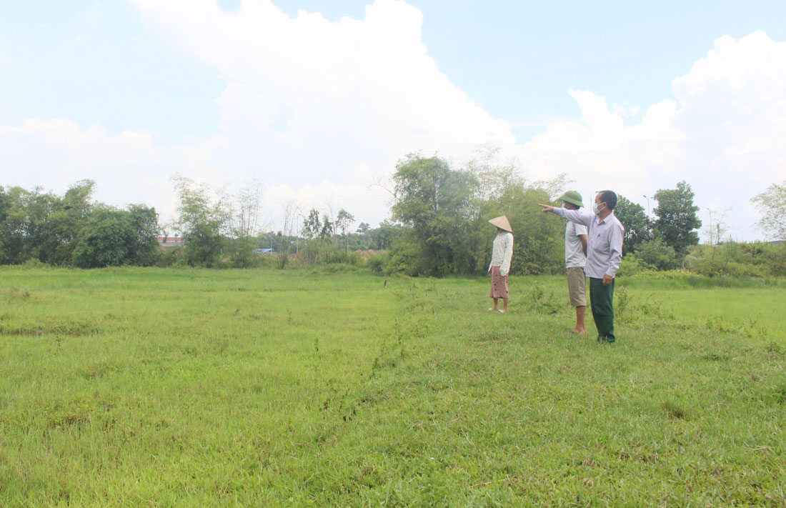  Hơn 8.000m2 đất canh tác nông nghiệp của người dân tổ dân phố Nguyên Giả, phường Cải Đan (T.P Sông Công) không thể gieo cấy do ngập úng khi trời mưa.