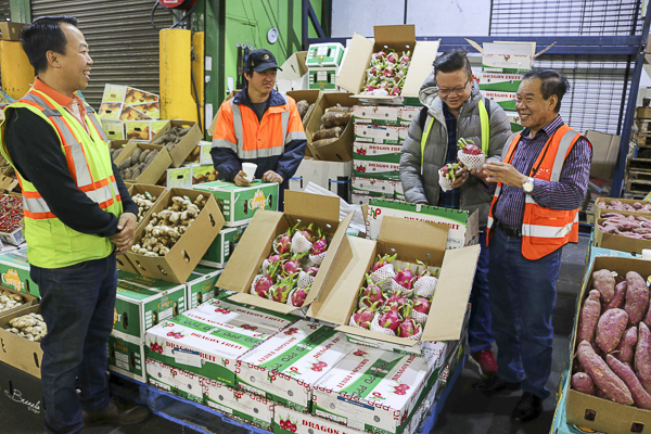  Các khách hàng lựa chọn thanh long của Việt Nam tại chợ đầu mối hoa quả Sydney.