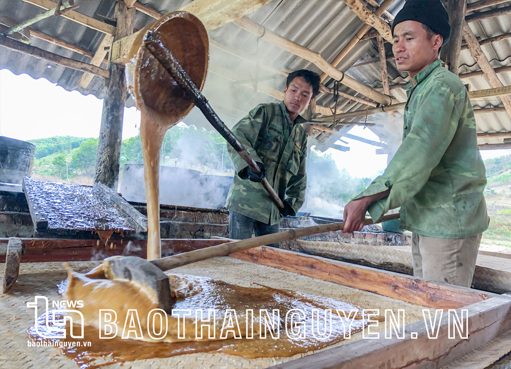  Xóm Lân Vai hiện có hơn 40 hộ trồng mía với tổng diện tích trên 5ha. Mỗi năm bà con trong xóm sản xuất được khoảng 35-40 tấn đường bán ra thị trường, đạt doanh thu trên 1 tỷ đồng.