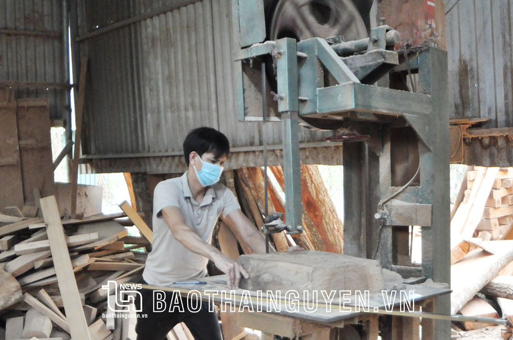  Trung bình mỗi năm, huyện Phú Bình tổ chức đào tạo nghề cho trên 1.000 lao động địa phương. 