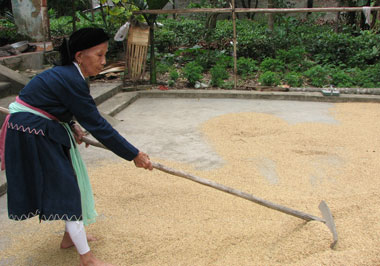 Tuổi cao nhưng bagrave; Liễu vẫn luocirc;n tay với cocirc;ng việc