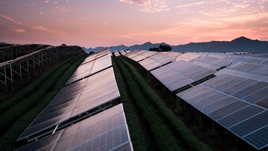  Các nhà khoa học Australia đã chứng minh có thể sản xuất điện Mặt trời vào ban đêm. Ảnh minh hoạ: Getty Images