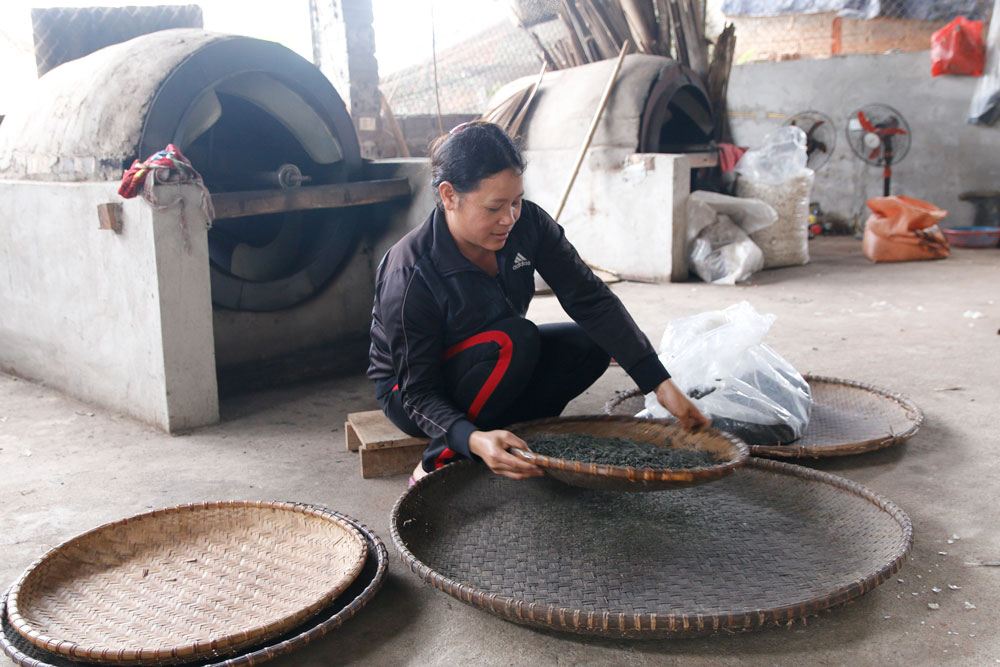  Nhờ sản xuất chè theo tiêu chuẩn VietGAP, gia đình chị Bùi Thị Mai ở xóm Phú Ninh, xã Phú Đình, đã thoát nghèo vào năm 2020.