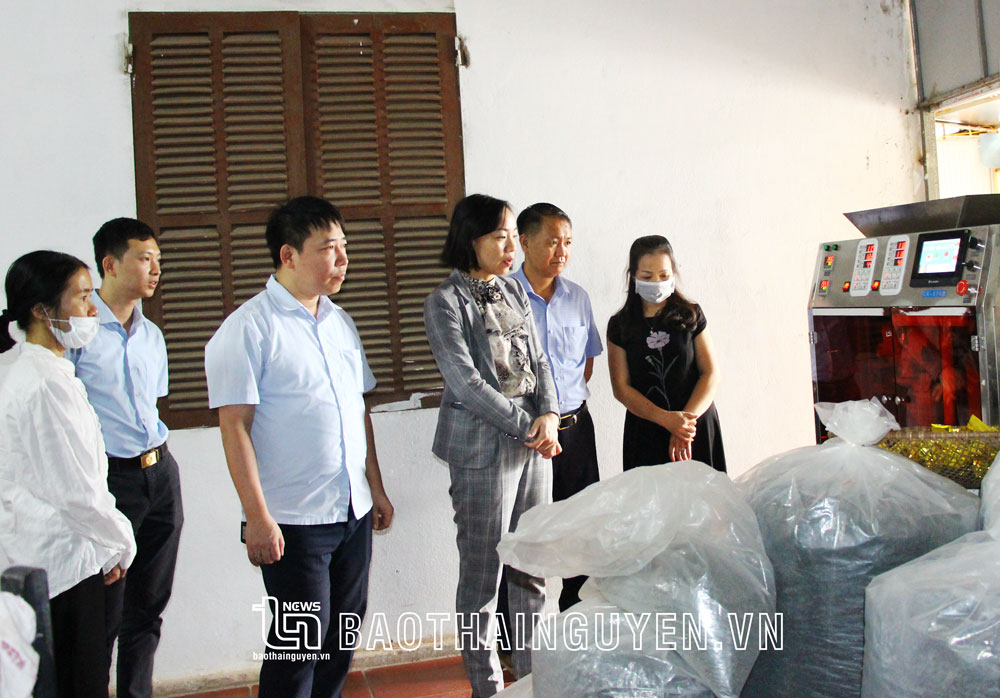  Đoàn công tác nghiệm thu máy đóng gói chè tự động thuộc Đề án hỗ trợ máy móc thiết bị trong chế biến chè cho hộ kinh doanh Phạm Anh Tài, xã Tân Cương (TP. Thái Nguyên).