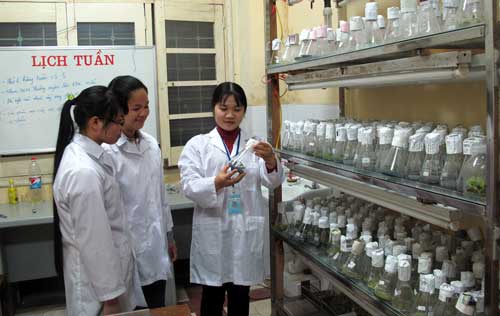  Ngoài thời gian lên lớp, PGS-TS Nguyễn Vũ Thanh Thanh lại dành cho công tác nghiên cứu khoa học. Trong ảnh Cô Thanh hướng dẫn sinh viên cách lai tạo giống cây trồng.