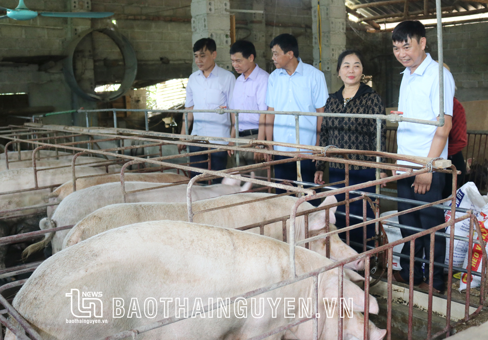 Cán bộ, hội viên nông dân huyện Võ Nhai trao đổi kinh nghiệm phát triển kinh tế tại mô hình sản xuất của gia đình bà Lê Thị Thắm, xóm Tân Tiến, xã Dân Tiến.