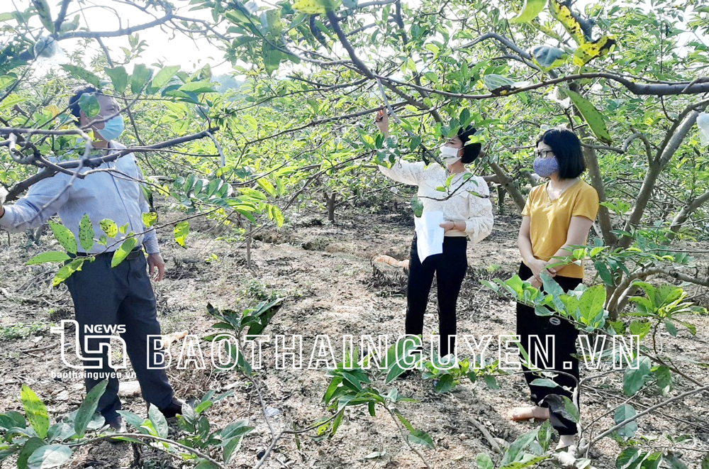  Cán bộ, hội viên Hội Nông dân xã La Hiên (Võ Nhai) trao đổi kinh nghiệm xây dựng phong trào Nông dân thi đua sản xuất, kinh doanh giỏi.