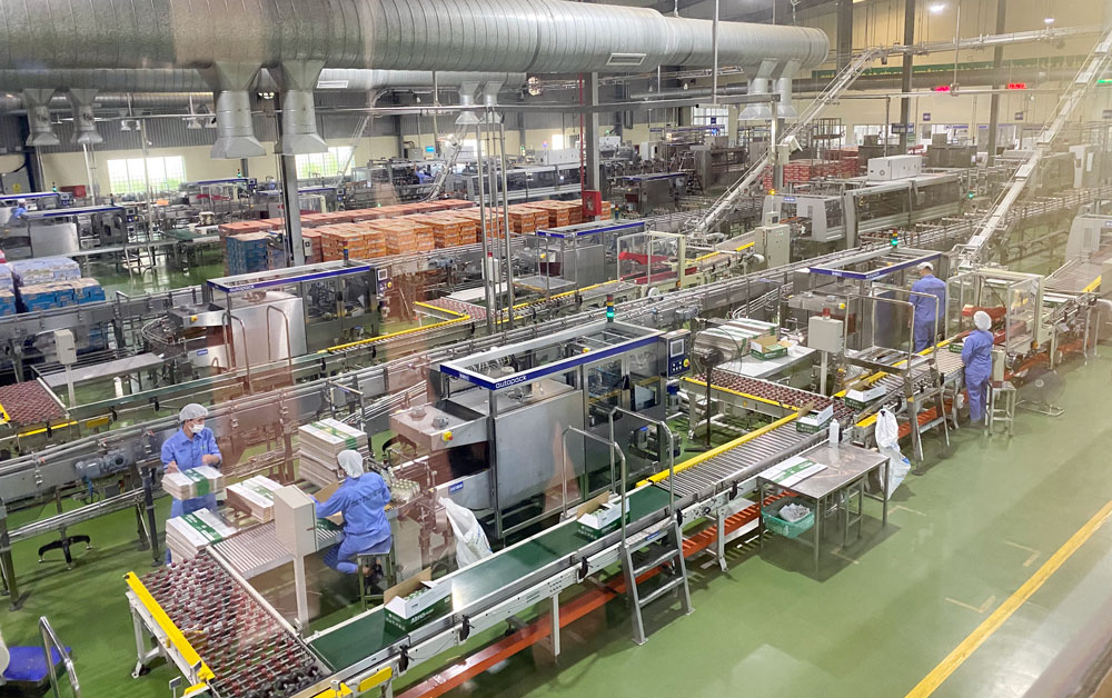  Nhờ linh hoạt, chủ động trong công tác phòng, chống dịch COVID-19 đã giúp Công ty CP Elovi Việt Nam ổn định sản xuất, bảo đảm việc làm của người lao động.
