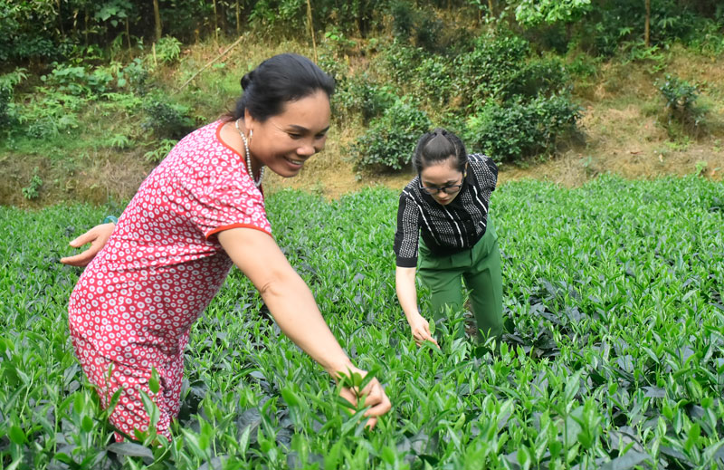  Bà Đào Thị Chiêm (bên trái) luôn gần gũi, quan tâm đến cuộc sống của người dân.