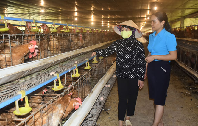  Chị Lê Thị Ánh, Phó Chủ tịch Hội LHPN xã Tân Kim (bên phải) đến thăm mô hình nuôi gà ấp trứng của hội viên phụ nữ xóm La Đuốc.