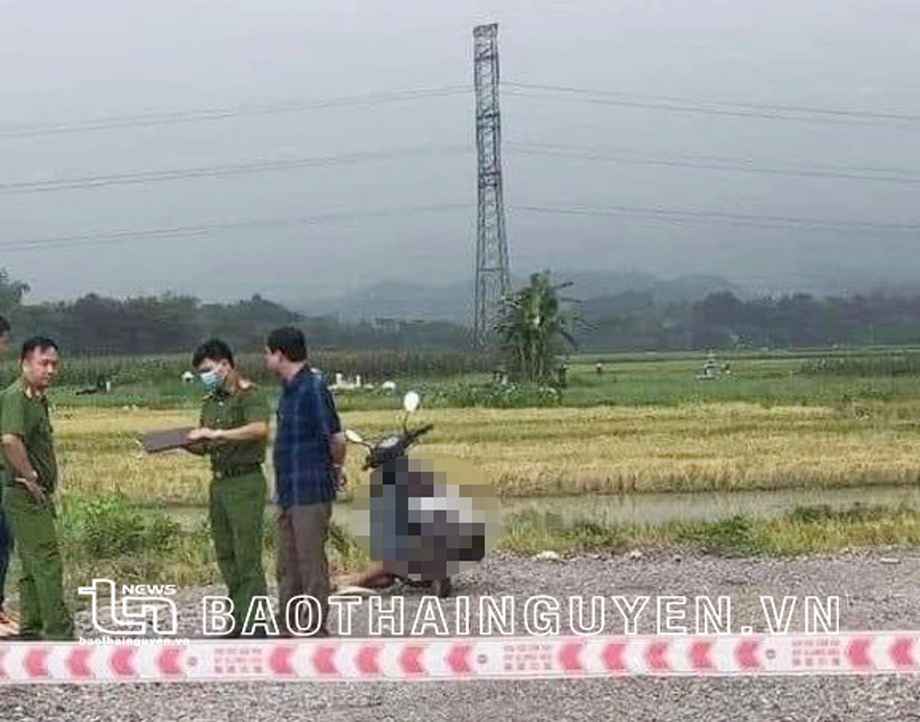  Ảnh CTV