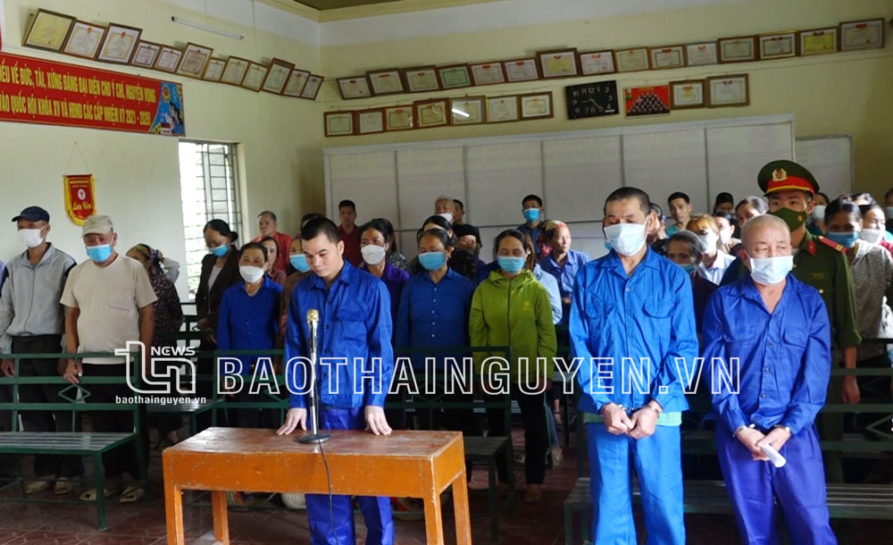  Các bị cáo tại phiên tòa.