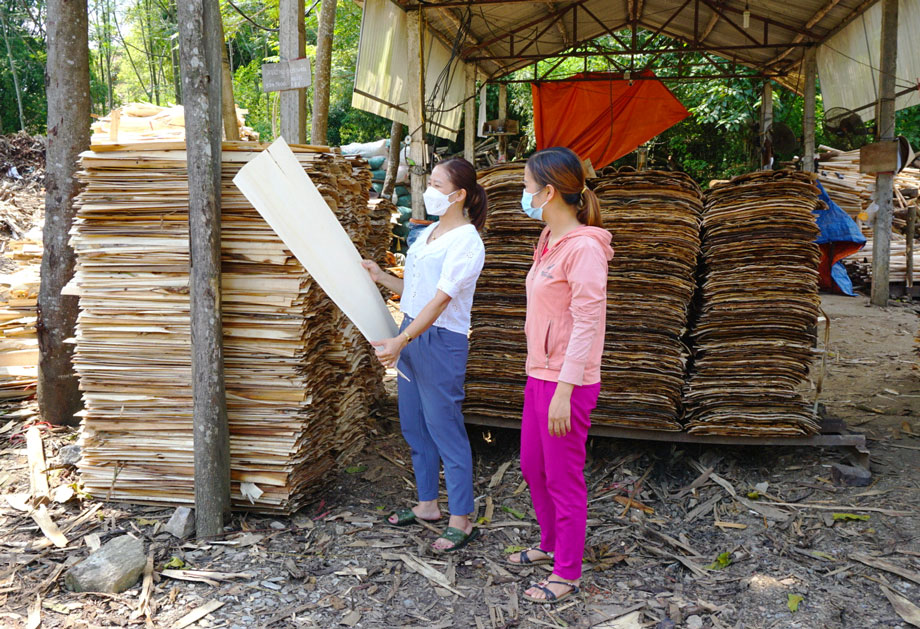  Chị Đinh Thị Ngân (áo trắng), hội viên phụ nữ xóm Cây Hồng, xã Yên Lãng (Đại Từ) tích cực tham gia mô hình giúp nhau phát triển kinh tế. Gia đình chị hiện có một xưởng chế biến gỗ đem lại hiệu quả kinh tế cao.