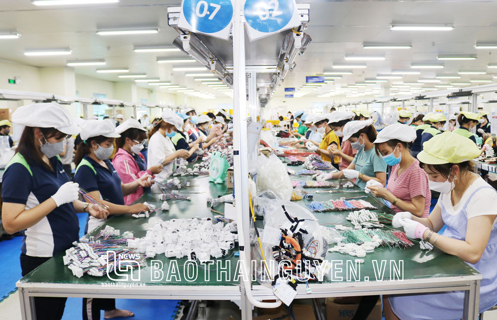  Lực lượng lao động nữ chiếm 50,6% trong tổng số lao động trên toàn tỉnh. (Ảnh chụp tại Công ty TNHH WoojinQPD Vina, TP. Phổ Yên)