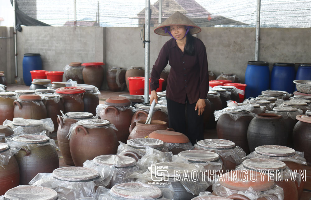  Thông qua sử dụng vốn vay Quỹ Hỗ trợ nông dân hiệu quả, nhiều gia đình làm tương truyền thống ở xã Úc Kỳ (Phú Bình) đã hợp tác, liên kết cùng nhau sản xuất và tiêu thụ sản phẩm.