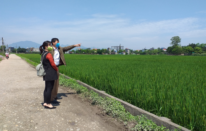  Từ năm 2016 đến nay, Dự án rau an toàn tại phường Cải Đan (T.P Sông Công) vẫn chưa thu hút được doanh nghiệp đầu tư.