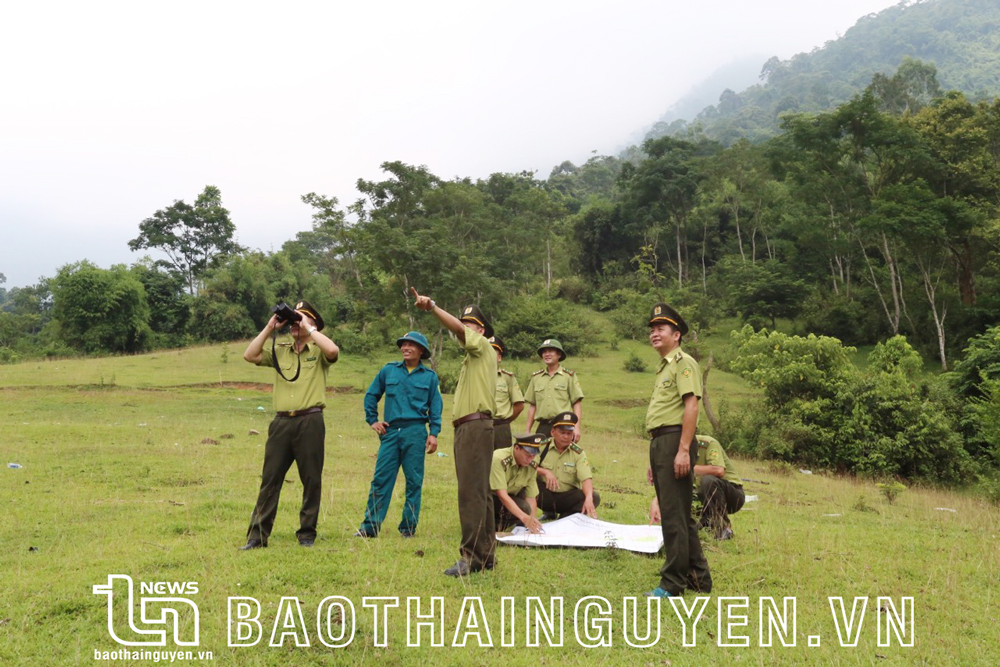  Lực lượng Kiểm lâm Vườn Quốc gia Tam Đảo phối hợp với Hạt Kiểm lâm Đại Từ tuần tra, kiểm tra rừng Tam Đảo. Ảnh: T.L