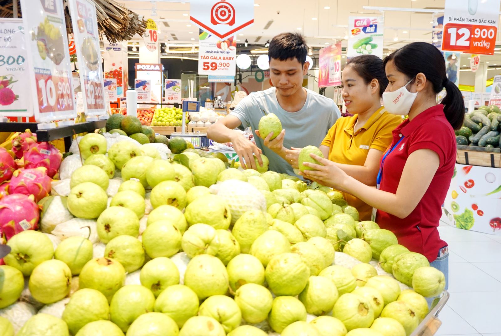  Người tiêu dùng chọn mua ổi Linh Sơn - sản phẩm đạt tiêu chuẩn OCOP - tại Siêu thị GO (TP. Thái Nguyên).