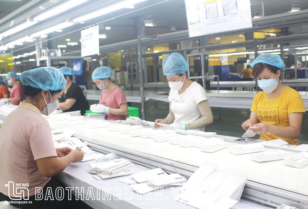  Sản xuất bao bì, vỏ hộp điện thoại tại Công ty TNHH Doosun Việt Nam, thuộc Cụm công nghiệp Nguyên Gon (TP. Sông Công).