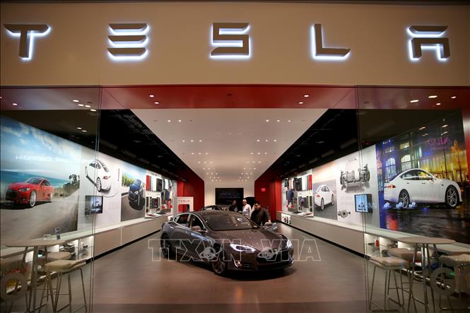  Ô tô của hãng Tesla được giới thiệu tại cửa hàng ở Miami, Florida, Mỹ. Ảnh tư liệu: AFP/TTXVN