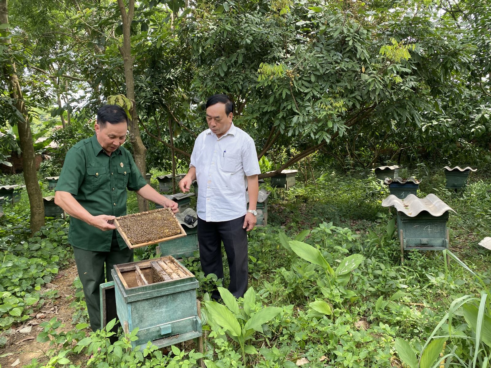  CCB Đinh Văn Khánh (bên trái) trao đổi kiến thức nuôi ong mật với lãnh đạo Hội CCB huyện Đồng Hỷ.