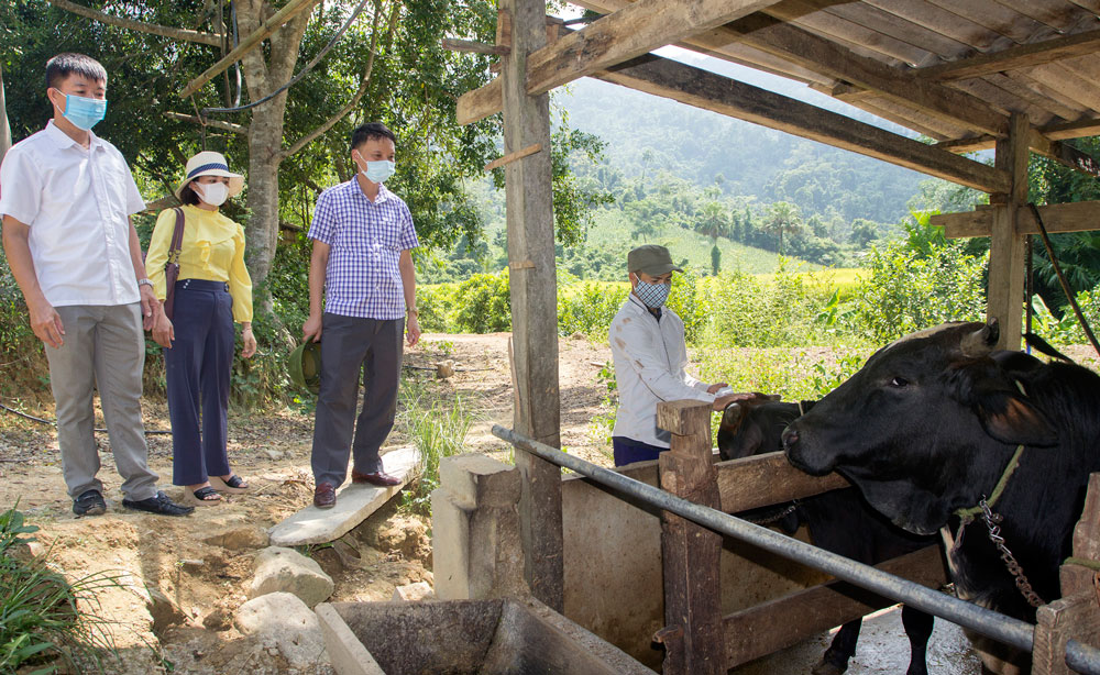  Cán bộ Trung tâm Dịch vụ nông nghiệp Võ Nhai kiểm tra công tác tiêm vắc xin phòng bệnh cho đàn vật nuôi tại xã Sảng Mộc.