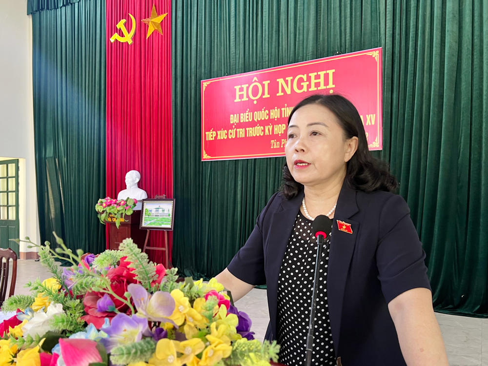  Đồng chí Đoàn Thị Hảo phát biểu với cử tri phường Tân Phú.