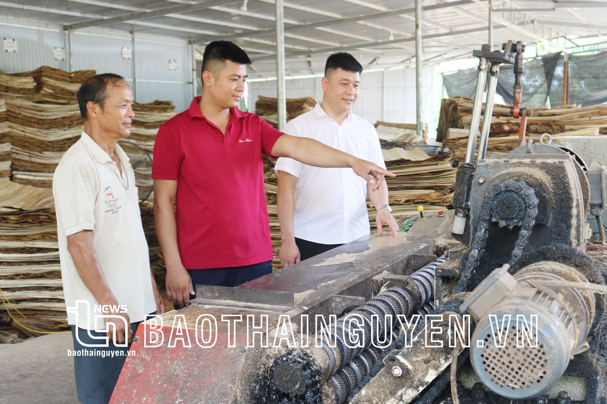 Giai đoạn 2018-2021, xã Tràng Xá (Võ Nhai) có hơn 1.400 lượt gia đình hội viên nông dân đạt tiêu chí nông dân sản xuất, kinh doanh giỏi các cấp.