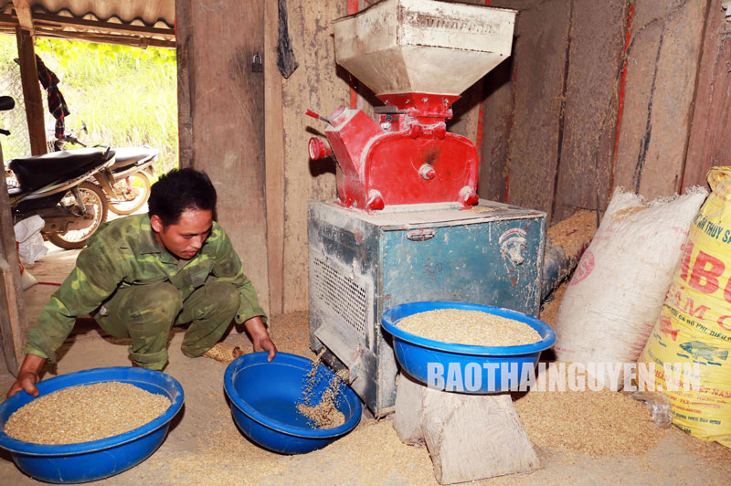 Không còn tâm lý trông chờ, ỷ lại vào sự hỗ trợ, anh Hoàng Văn Tính và nhiều hộ đồng bào người Mông khác ở Lũng Cà đang từng bước tự lực vươn lên thay đổi cuộc sống.