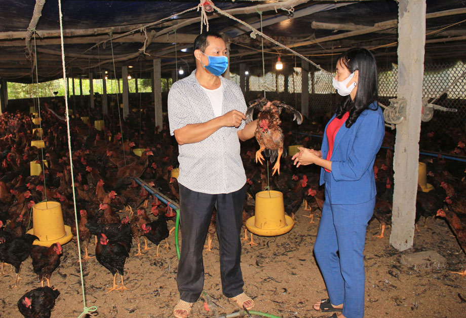  Cán bộ nông nghiệp xã Phấn Mễ (Phú Lương) tuyên truyền cho người dân về lợi ích từ việc sử dụng chế phẩm sinh học trong xử lý chất thải chăn nuôi.