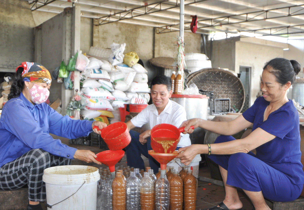 Tương Úc Kỳ là một trong 11 sản phẩm của huyện Phú Bình đăng ký tham gia chu trình OCOP.