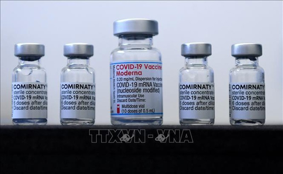  Vắc-xin ngừa COVID-19 của Pfizer/BioNTech và Moderna. Ảnh: AFP/TTXVN