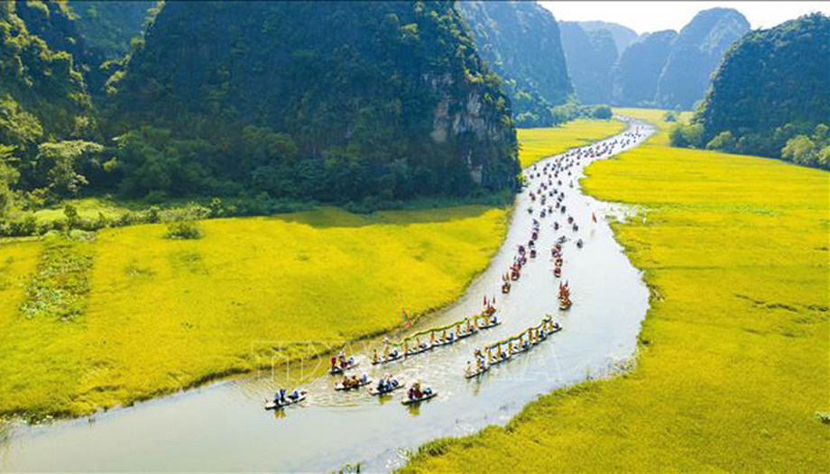  Dòng Ngô Đồng vàng rực, Khu du lịch Tam Cốc - Bích Động nằm trong Quần thể danh thắng Tràng An (Ninh Bình). Ảnh tư liệu: TTXVN