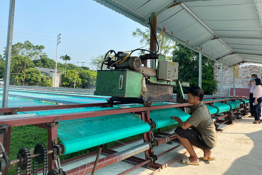  Nhờ được vay vốn giải quyết việc làm, gia đình ông Ngô Đức Thọ, ở xóm Việt Cường, xã Hóa Thượng (Đồng Hỷ) có điều kiện đầu tư máy móc, mở rộng quy mô sản xuất miến dong.