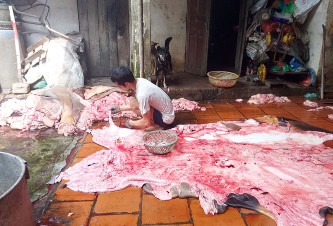  Gia đình ông Đỗ Văn Điềm Lọc mỡ từ da trâu, bò trước khi dán