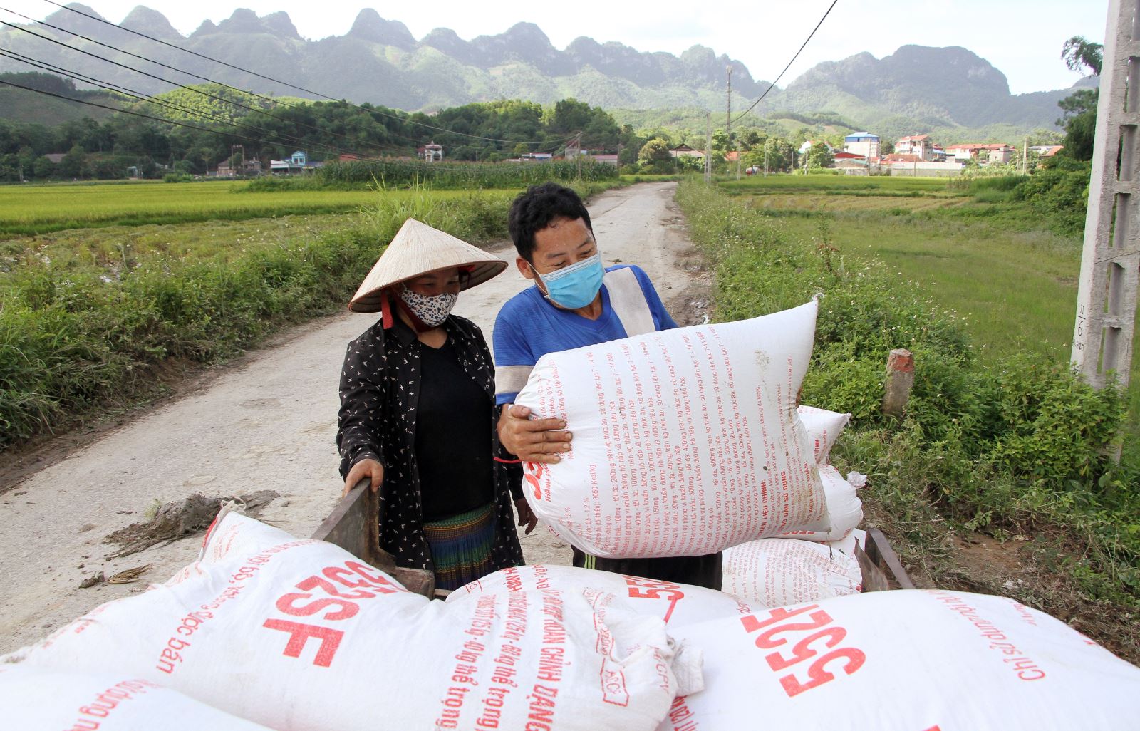 Anh Hoàng Văn Giàng đang chuyển những bao thóc lên xe để chở về nhà, đây là thành quả từ những ngày lao động vả của vợ chồng anh.