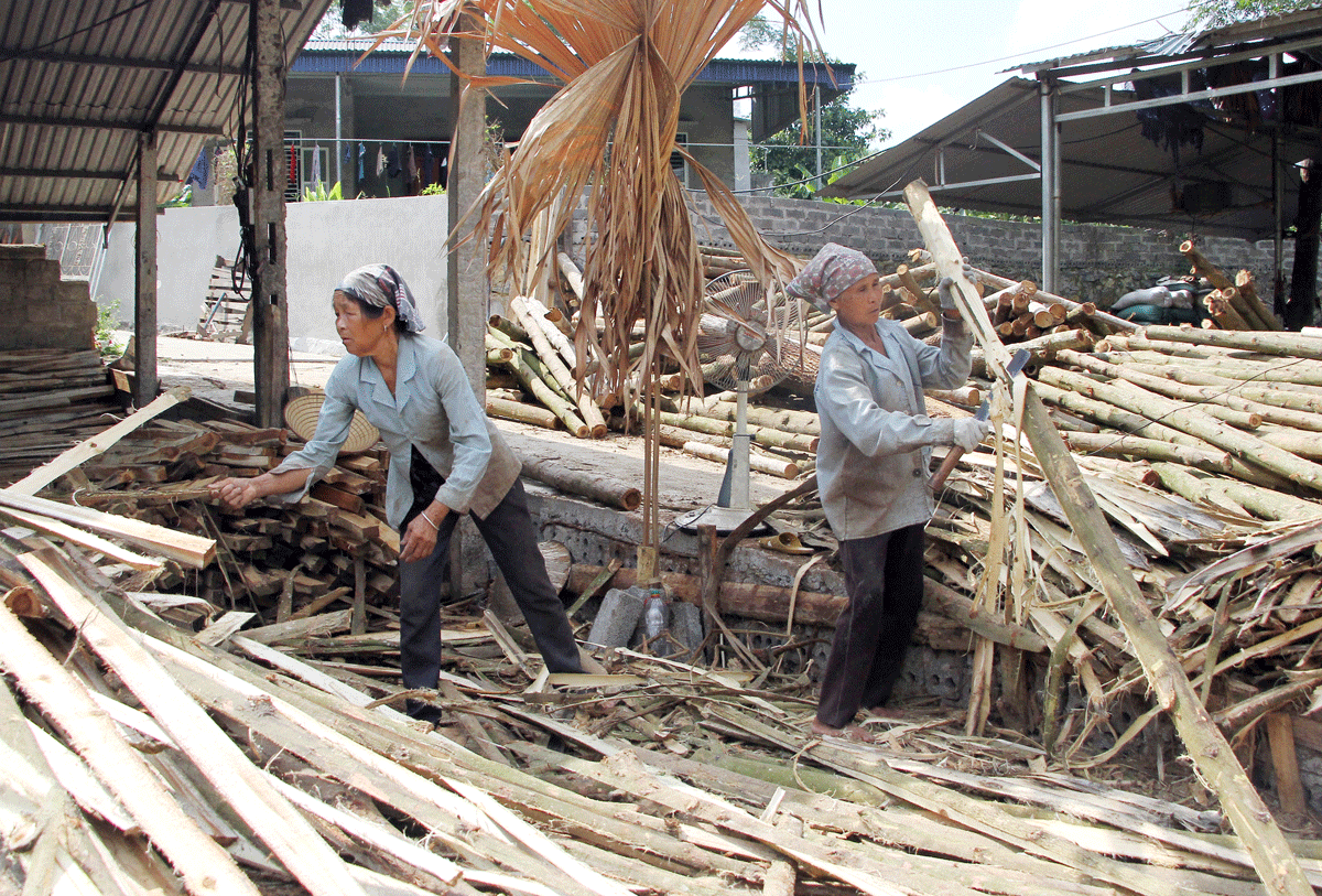  Mặc dù tuổi cao nhưng nhiều người dân thuộc diện hộ nghèo ở Định Hóa vẫn tìm được việc làm tại các xưởng chế biến gỗ.