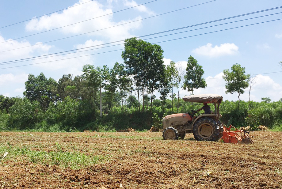 Người dân xóm Ngược, xã Bảo Lý (Phú Bình) làm đất chuẩn bị trồng cây vụ Đông.