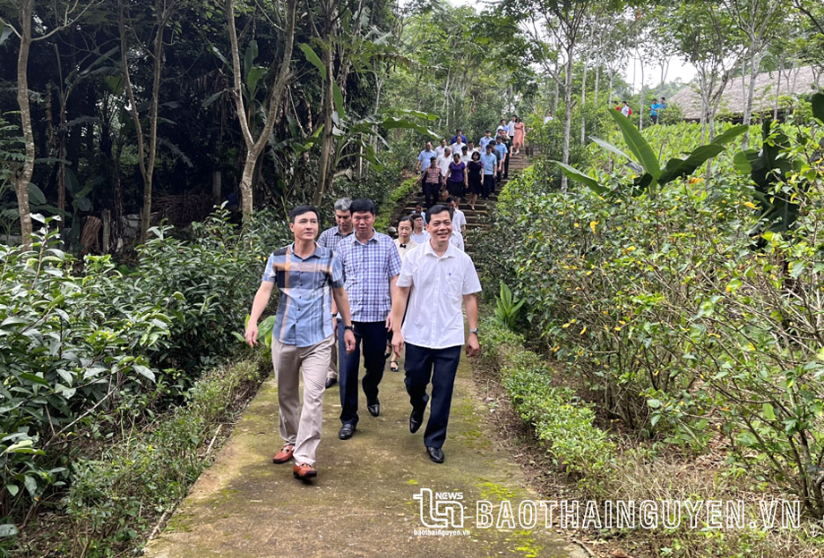  Đồng chí Vũ Duy Hoàng, Uỷ viên Ban Thường vụ, Trưởng Ban Tuyên giáo Tỉnh uỷ đi thực tế tại Di tích địa điểm Lễ nhận Quốc thư đầu tiên của nước Việt Nam Dân chủ Cộng hòa, ở xã Tiên Hội (Đại Từ).